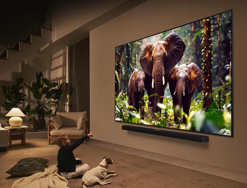 LG 65QNED85ACA / 65QNED85ACA / LG 65QNED85 / 65QNED85